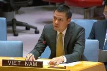 L’ambassadeur Dang Hoang Giang, représentant permanent du Vietnam auprès des Nations Unies (ONU). Photo: VNA.
