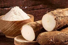 Le manioc joue un rôle clé dans l'exportation des produits agricoles du Vietnam. Photo: congthuong.vn.