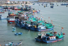 Binh Thuân redouble d'efforts pour lutter contre la pêche INN. Photo : VNA.
