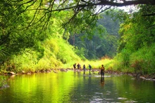 Le parc national de Bù Gia Mâp, un paradis vierge pour se détacher de la vie urbaine et profiter de la tranquillité de la nature. 