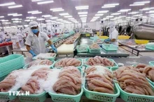La reconnaissance officielle par le Département américain de l'Agriculture de l'équivalent du système vietnamien de contrôle de la sécurité alimentaire de poisson tra vietnamien exporté vers les Etats-Unis facilitera l’accès et l’expansion du marché pour les produits vietnamiens. Photo : VNA 