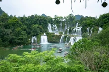 La cascade de Ban Gioc, dans la commune de Dam Thuy, district de Trung Khanh, la perle du tourisme de Cao Bang. 