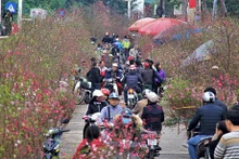 Les marchés constituent une caractéristique unique de chaque zone rurale à l'approche du Nouvel An lunaire (Têt). Photo : VNA.