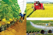 Un nouveau moteur pour le développement de l’agriculture du Vietnam 