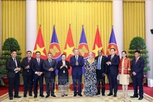 Le Président vietnamien To Lam (au milieu) reçoit des ambassadeurs et chargés d'affaires des pays de l'ASEAN et du Timor-Leste, Photo : VNA.