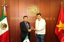 Le président du Sénat mexicain Gerardo Fernández Noroña (à droite) offre un cadeau de souvenir au nouvel ambassadeur Nguyên Van Hai. Photo : VNA.