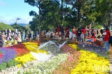 Le 10e Festival des fleurs de Dà Lat, dans la province de Lâm Dông, attire un grand nombre de visiteurs. Photo : NDEL.
