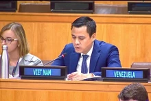 L'ambassadeur Dang Hoang Giang, chef de la Mission permanente du Vietnam auprès des Nations Unies (ONU). Photo : VNA.