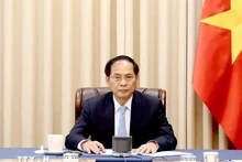 Le vice-Premier ministre et ministre des Affaires étrangères du Vietnam, Bui Thanh Son. Photo : VNA.
