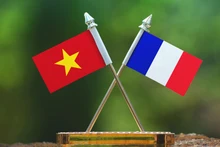 Les drapeaux vietnamien et français.