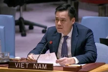 L’ambassadeur Dang Hoàng Giang, représentant permanent du Vietnam auprès des Nations Unies, prend la parole lors du débat. Photo : VNA.