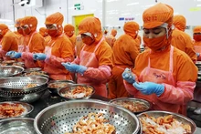 Transformation de crevettes pour l'exportation. Photo: NDEL.