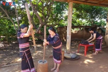 Des femmes Jrai pilent du riz. Photo : VOV.