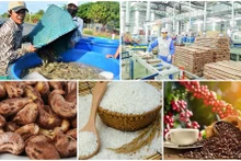 Les États-Unis, premier importateur de produits agricoles, forestiers et aquatiques vietnamiens
