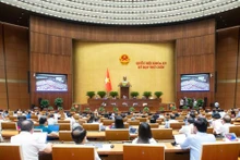 Vue d'ensemble de la séance de travail. Photo : quochoi.vn 