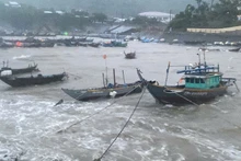 Bateaux se mettant à l’abri du typhon Trami sur les îles Cham, ville de Hôi An. Photo : VNA.