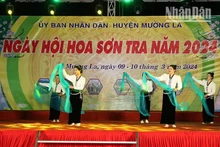 La Fête des fleurs d’aubépine 2024 a eu lieu les 9 et 10 mars, dans la commune de Ngoc Chiên, district de Muong La, province de Son La (au Nord-Ouest). Photo : NDEL.