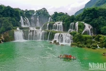 De septembre à décembre, c’est le meilleur moment pour visiter les chutes d’eau de Ban Giôc, les plus belles du Vietnam. Photo : NDEL.