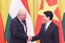 Le président vietnamien Luong Cuong (droite) et son homologue hongrois Sulyok Tamás. Photo . VNA.