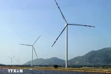 Un parc éolien au Vietnam. Photo : VNA. 
