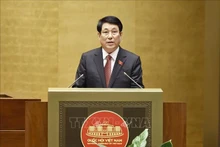 Le président Luong Cuong. Photo : VNA.