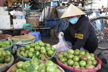 La pomme étoilée de Soc Trang est recherchée par de nombreux marchés internationaux. Photo: CVN.