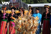 Le maïs, l'une des principales denrées de base, est étroitement lié aux croyances populaires des Cống.