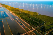 En Asie du Sud-Est, le Vietnam est l’un des premiers pays à avoir choisi la voie de la croissance verte. Photo : tainguyenmoitruong