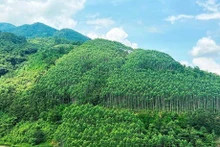 Photo: vneconomy.vn.