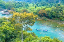 Chaque mois de mars, le ruisseau Mooc se pare des couleurs des fleurs de saraca asoca, ce qui crée une scène fascinante et enchanteresse. Photo : VOV