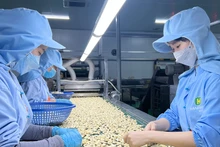 Le Kazakhstan est le deuxième partenaire commercial du Vietnam au sein de l’UEEA, tandis que le Vietnam est le deuxième partenaire commercial du Kazakhstan au sein de l’ASEAN, juste après Singapour. Photo: congthuong.vn.