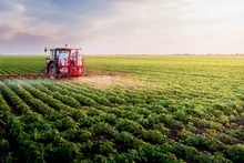 Le Vietnam s’efforce de développer une agriculture verte et durable. Photo : VNA.