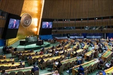 Lors de la réunion de l'Assemblée générale des Nations Unies. Photo: Xinhua.