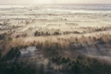La brume recouvre les rizières et les cocotiers du hameau de Cay Duong, commune de Thanh My, district de Chau Thanh, province de Tra Vinh. Photo : VnExpress.