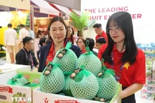 Le pamplemousse à peau verte du Vietnam présenté au salon. Photo : VNA.