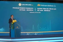 Le directeur adjoint de l’Autorité nationale du tourisme du Vietnam (VNAT) Hà Van Siêu. Photo : VNA. 