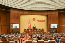Lors d'une séance de travail dans le cadre de la 8e session de l’Assemblée nationale du Vietnam de la XVe législature. Photo : NDEL.