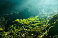 Chaque instant de riz sur ces pentes de haute montagne qui s'étendent jusqu'à l'horizon fascine les gens qui viennent dans les hauts plateaux du Nord-Ouest. Photo : TNO.