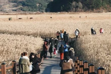 Les touristes à Jeolla du Sud. Photo : VNA.