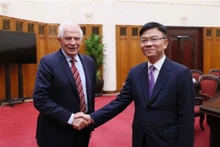 Le vice-Premier ministre Lê Thành Long (droite) et le vice-président de la Commission européenne et haut représentant de l'Union européenne, Josep Borrell Fontelles, le 30 juillet à Hanoi. Photo : VNA.