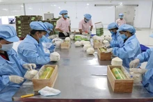 Conditionnement de noix de coco fraîches pour l'exportation. Photo: NDEL.
