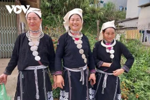 Les femmes de l'ethnie Dao dans la province de Thai Nguyen (au Nord). Photo: VOV.