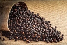 En 2023, 267.000 tonnes de poivre de toutes sortes ont été exportées pour une valeur de 912 millions de dollars. Photo : tapchicongthuong.
