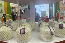 Des noix de coco vietnamiennes exposées à la foire fin septembre en Chine. Photo : Dang Khoa. 