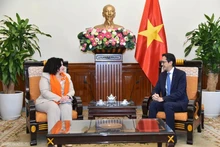 Le vice-ministre vietnamien des Affaires étrangères Do Hung Viet (à droite) et Christine Arab, directrice régionale de l’Agence des Nations Unies pour l’égalité des sexes et l’autonomisation des femmes (ONU Femmes) de l’Asie-Pacifique, le 27 novembre à Hanoï. Photo : baoquocte.vn