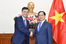 Pe vice-Premier ministre et ministre vietnamien des Affaires étrangères Bui Thanh Son (droite) et hen Gang, membre du Comité central du Parti communiste chinois (PCC), secrétaire du Comité du PCC et président du Comité permanent de l'Assemblée populaire de la région autonome Zhuang du Guangxi. Photo : VNA. 