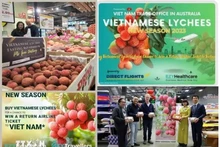 Certaines activités sont réalisées par le Bureau commercial du Vietnam en Australie. Photo : VNA.