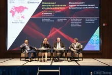 Vue générale de la conférence d’affaires Vietnam — Pologne (Business Mixer 2024), le 28 novembre à Hô Chi Minh-Ville. Photo : congthuong.vn