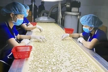 Transformation de noix de cajou pour l'exportation. Photo : VNA.
