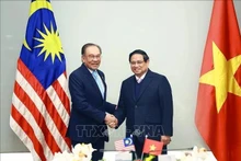 Le Premier ministre vietnamien Pham Minh Chinh (droite) et son homologue malaisien Anwar Ibrahim. 